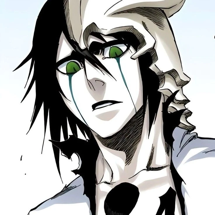 Profile picture of Ulquiorra Cifer