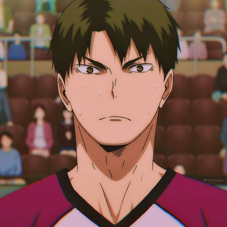 Profile picture of Wakatoshi Ushijima (Ushiwaka)