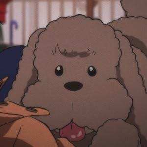 Profile picture of Makkachin
