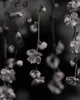 Heart102 ulanyjynyň profil suraty