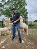 Profile picture of Dev