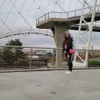 Profile picture of Brooklyn