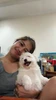 Profile picture of Shao