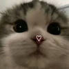 Profile picture of Natalie