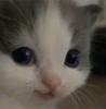 Profile picture of Abi