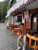 Ankit的头像
