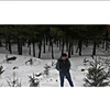 Larawan ng profile ni Alisan