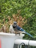 Profile picture of Drqwack