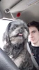 Profilbild vum Dylan