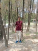 Alok 的個人照片
