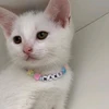 Profile picture of Rofiii