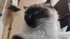 Foto de perfil de Akira