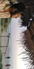 Photo de profil de Satyam Agarwal