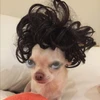 Profile picture of T