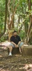 Profile picture of Nathri
