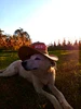 Profile picture of Jet