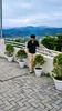 Larawan ng profile ni Wolfraid