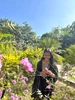 Profile picture of Soha Sheikh