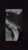Profile picture of Amalia