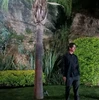 Foto de perfil de King Felipe