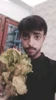 Profilbild för Anmol