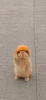 Profile picture of Shakirah