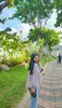 Profile picture of Chrysanthemum
