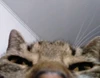 Foto de perfil de maríaaaa.