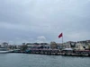 Shintya的头像