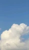 Profile picture of yola