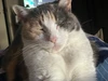 Profile picture of Huey