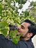Duab profile ntawm Arman