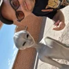 Profile picture of James