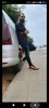 Profile picture of Refee
