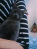 Profile picture of Desy