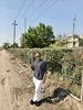 Photo de profil de Florence