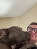 Profile picture of Sal