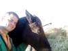 Profile picture of Armand Engelbrecht