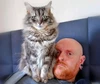 Andy(bearded ginger)的头像