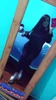 Foto de perfil de Yeisy