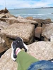 Profile picture of S