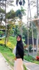 Llun proffil Araa