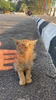 Profile picture of Biy.Ebby
