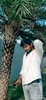 Profile picture of HemaSankar