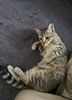 Foto profil Riani