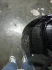 Lin 的個人照片