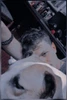 Profile picture of Michael