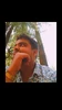 Duab profile ntawm Surya