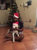 Foto de perfil de Keesh