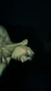 Profile picture of Ree